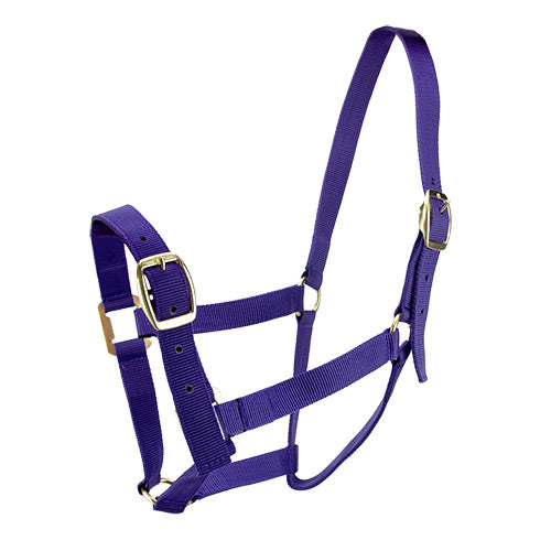 Bainbridge - Horse Halter - Full Purple