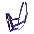 Load image into Gallery viewer, Bainbridge - Horse Halter - Pony Purple
