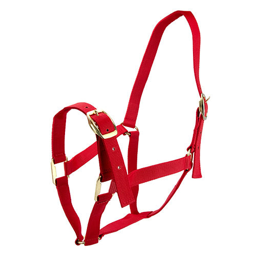 Bainbridge - Horse Halter - Full Red