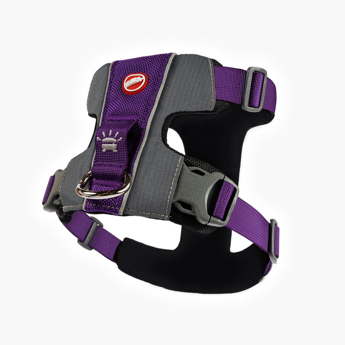 EzyDog - X-Link Harness - Purple - angle view