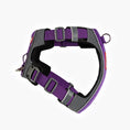 Load image into Gallery viewer, EzyDog - X-Link Harness - Purple - right side
