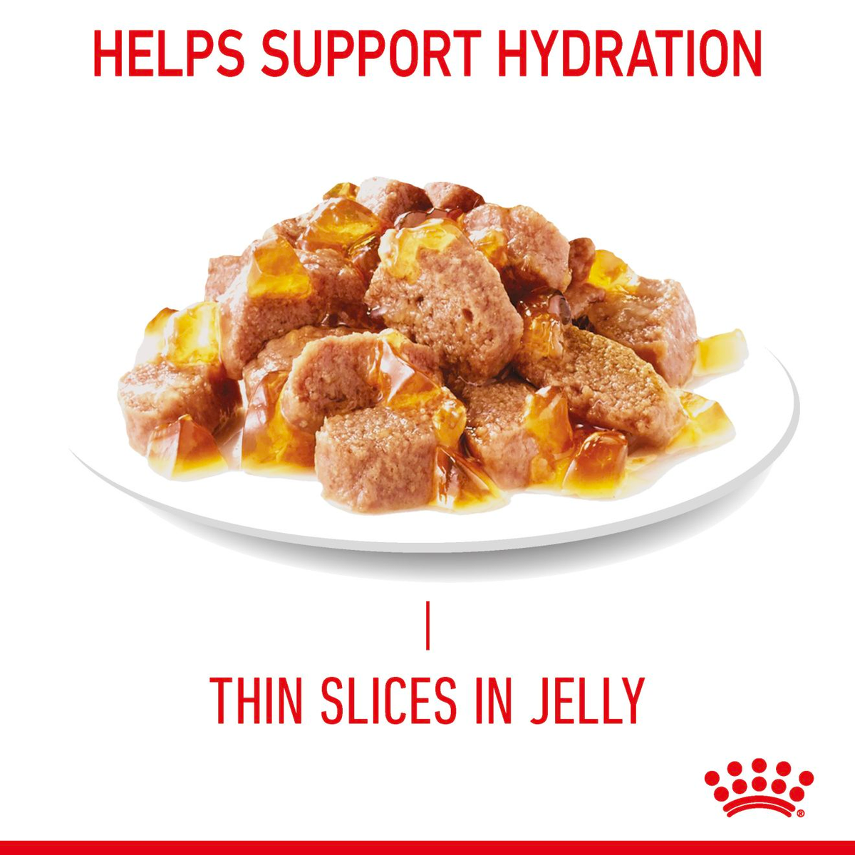 Royal Canin - Light Weight Care Jelly - helps support hydration
