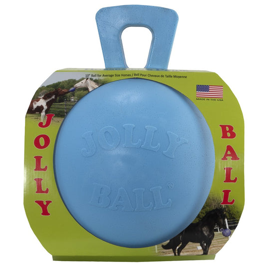 Jolly - Ball 10 Inch Blueberry - in packaging