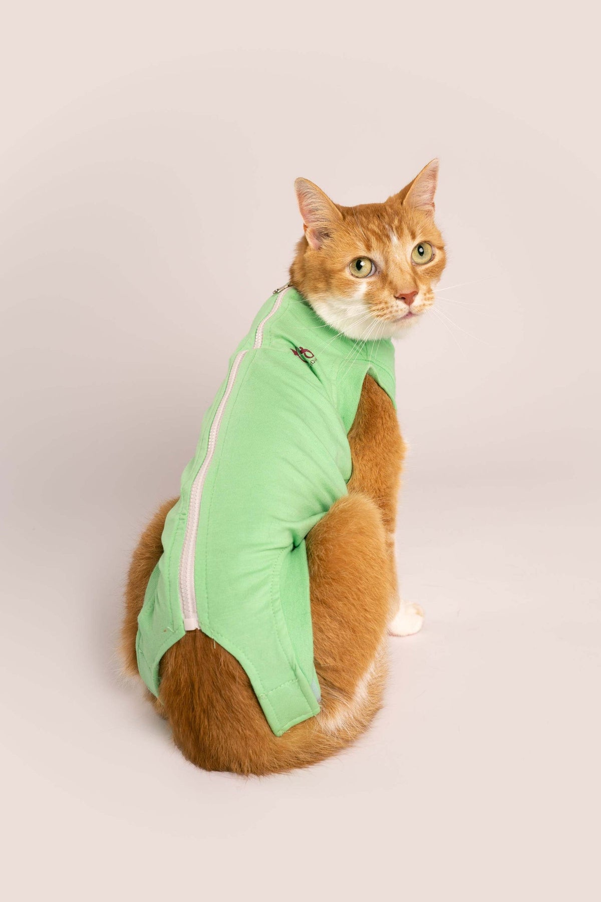 RecoverPet - Cat Recovery Suit - Summer Green, back view
