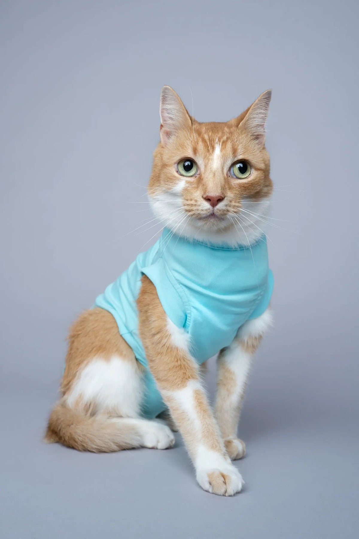 RecoverPet - Cat Recovery Suit - Light Blue