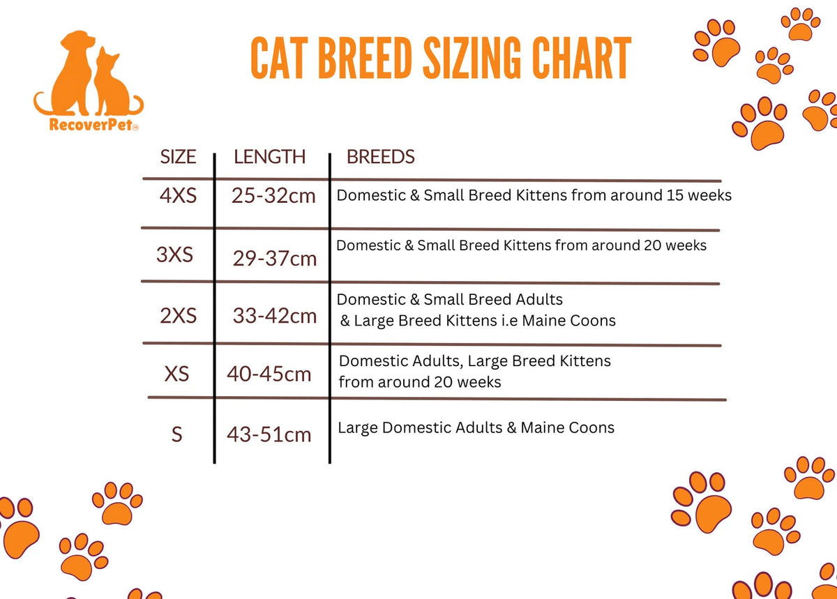 RecoverPet - Cat Recovery Suit - size chart by breed