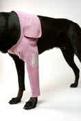 Load image into Gallery viewer, RecoverPet - Front Leg Sleeve - second view
