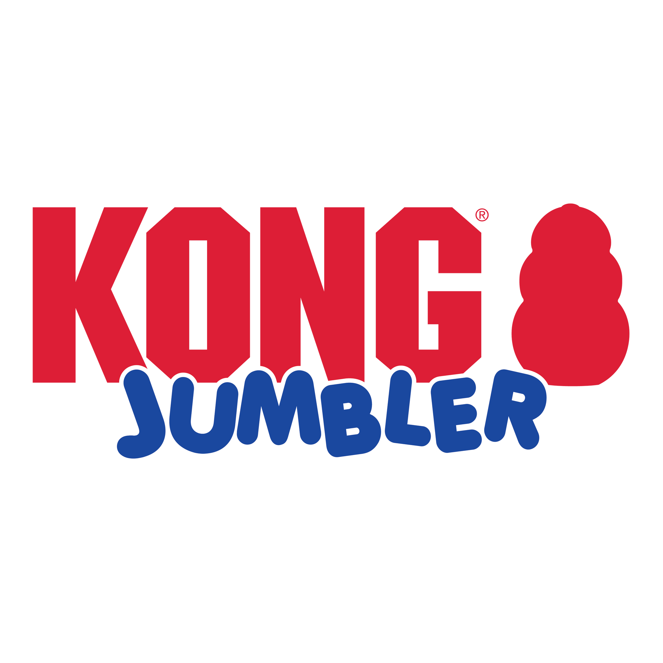 Kong Jumbler Ball