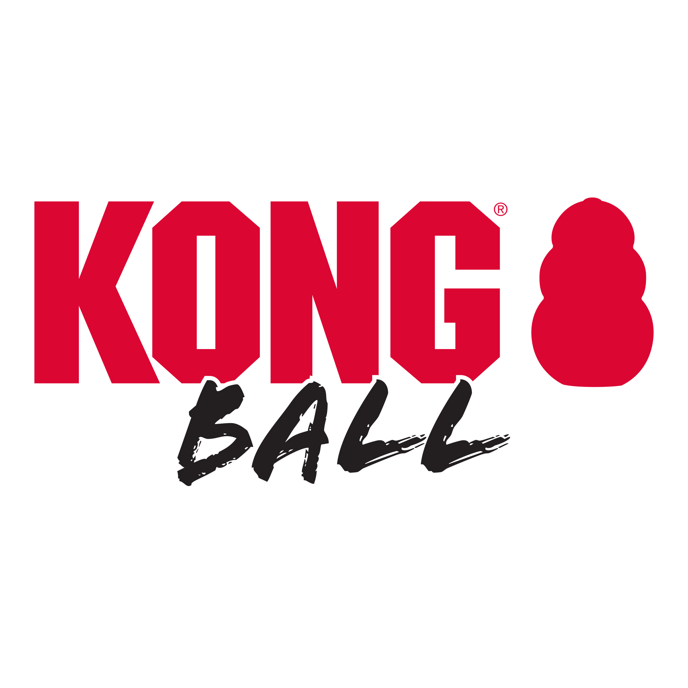 Kong Dog Extreme Ball