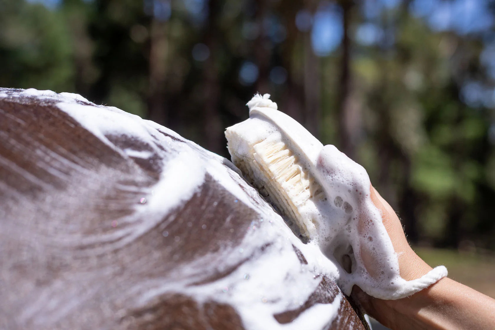 Wash Bay Brush