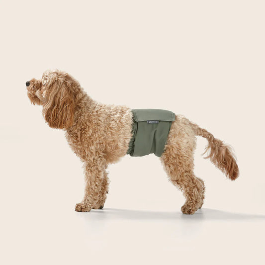 Washable Dog Nappy Band - Twin Pack for Male Dogs