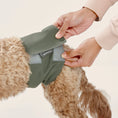 Load image into Gallery viewer, Washable Dog Nappy Band - Twin Pack for Male Dogs
