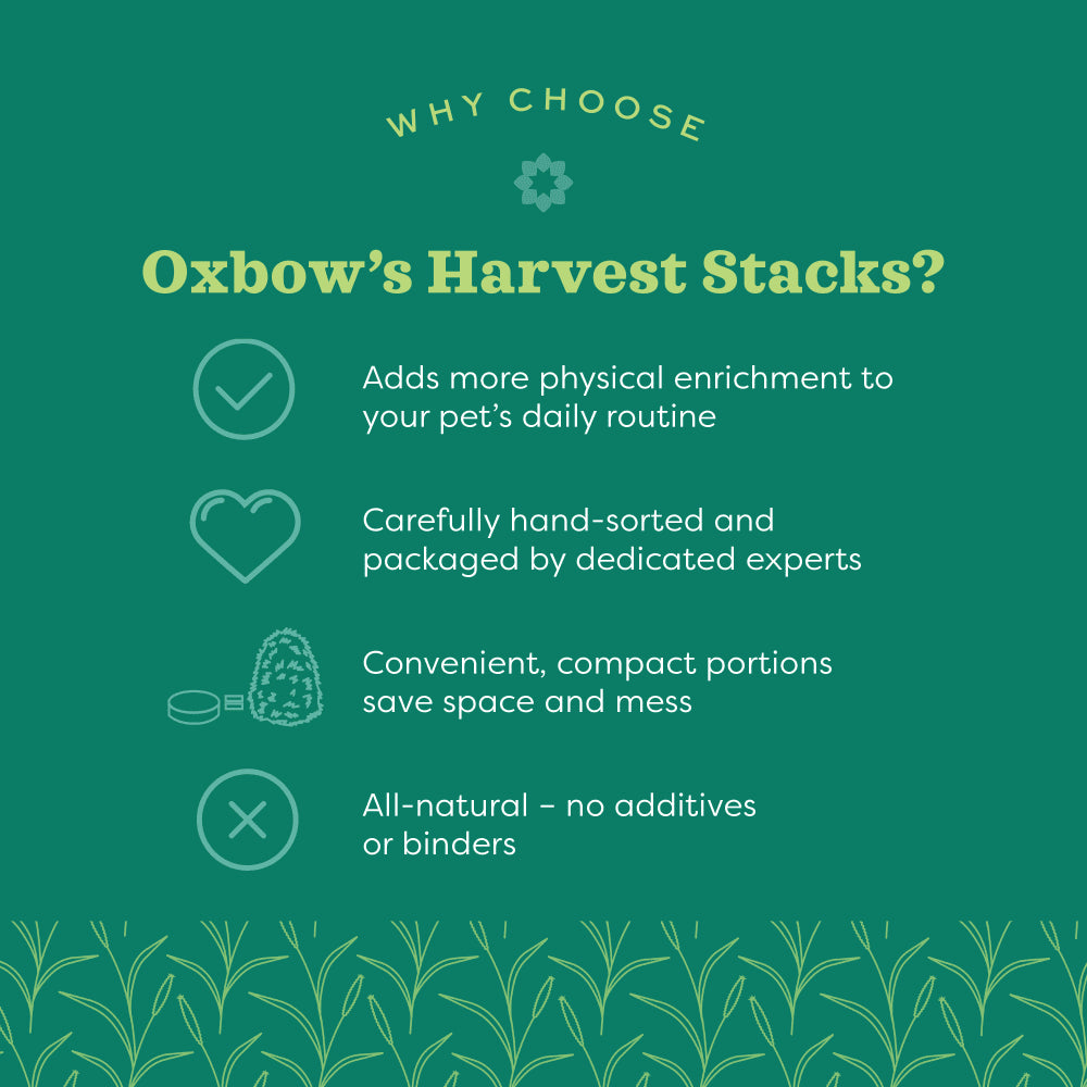 Oxbow Harvest Stacks - Western Timothy Hay with Chamomile