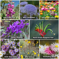 Load image into Gallery viewer, Wildflowers for Native Pollinators
