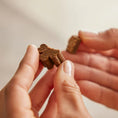 Load image into Gallery viewer, ZamiPet Allergy & Itch for Dogs 60 Chews
