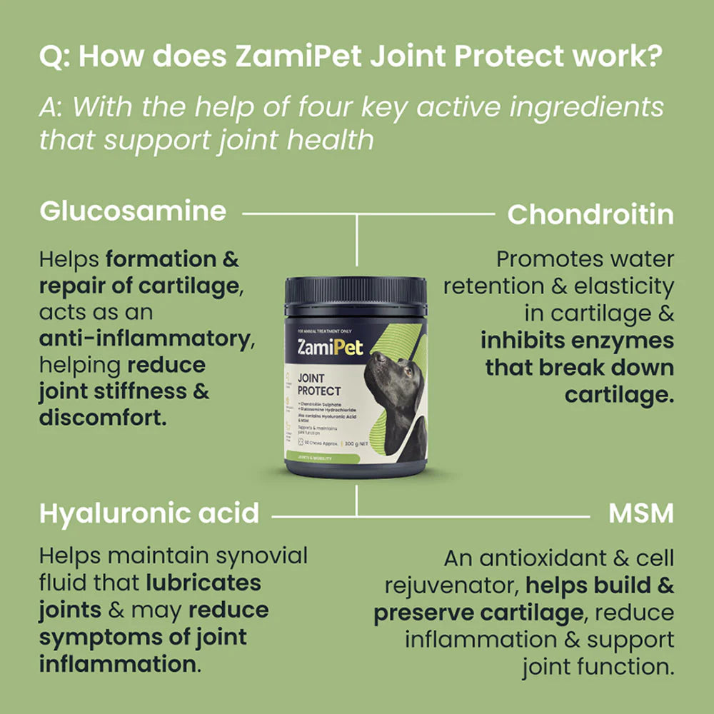 ZamiPet Joint Protect for Dogs