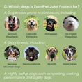 Load image into Gallery viewer, ZamiPet Joint Protect for Dogs
