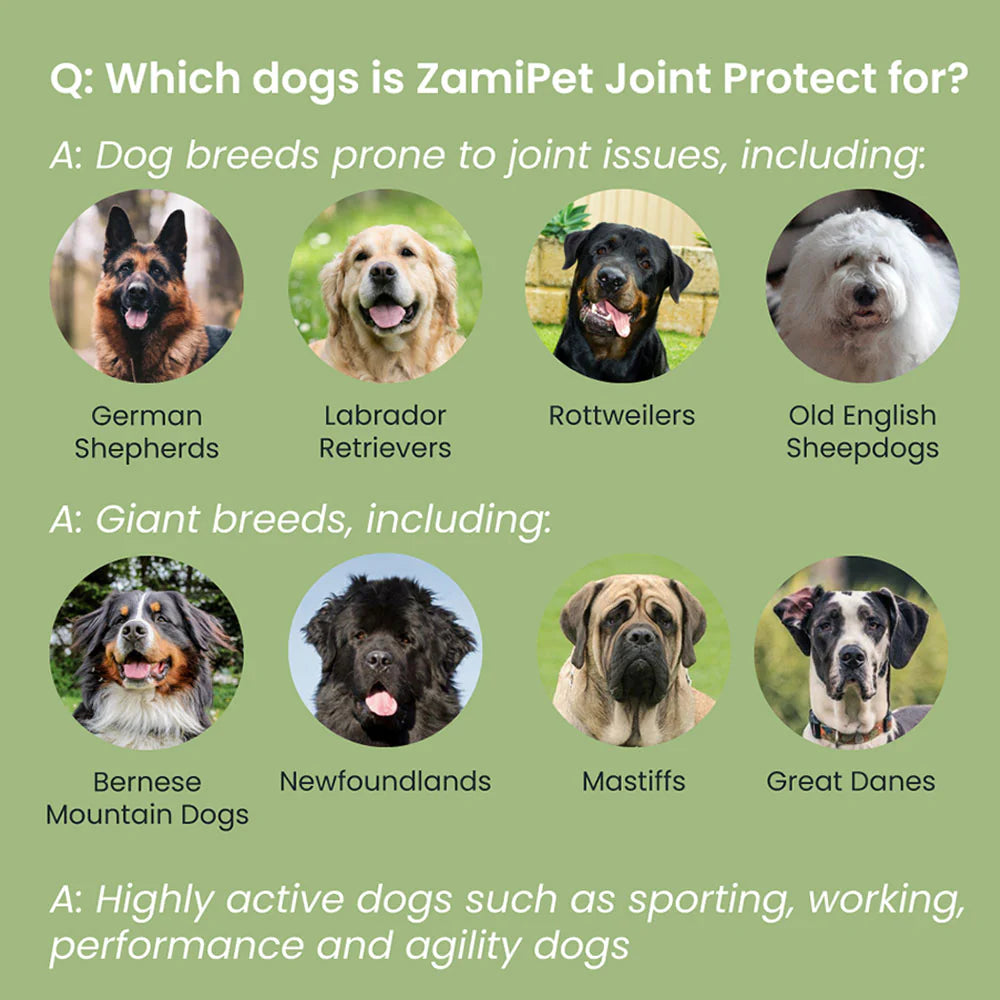 ZamiPet Joint Protect for Dogs