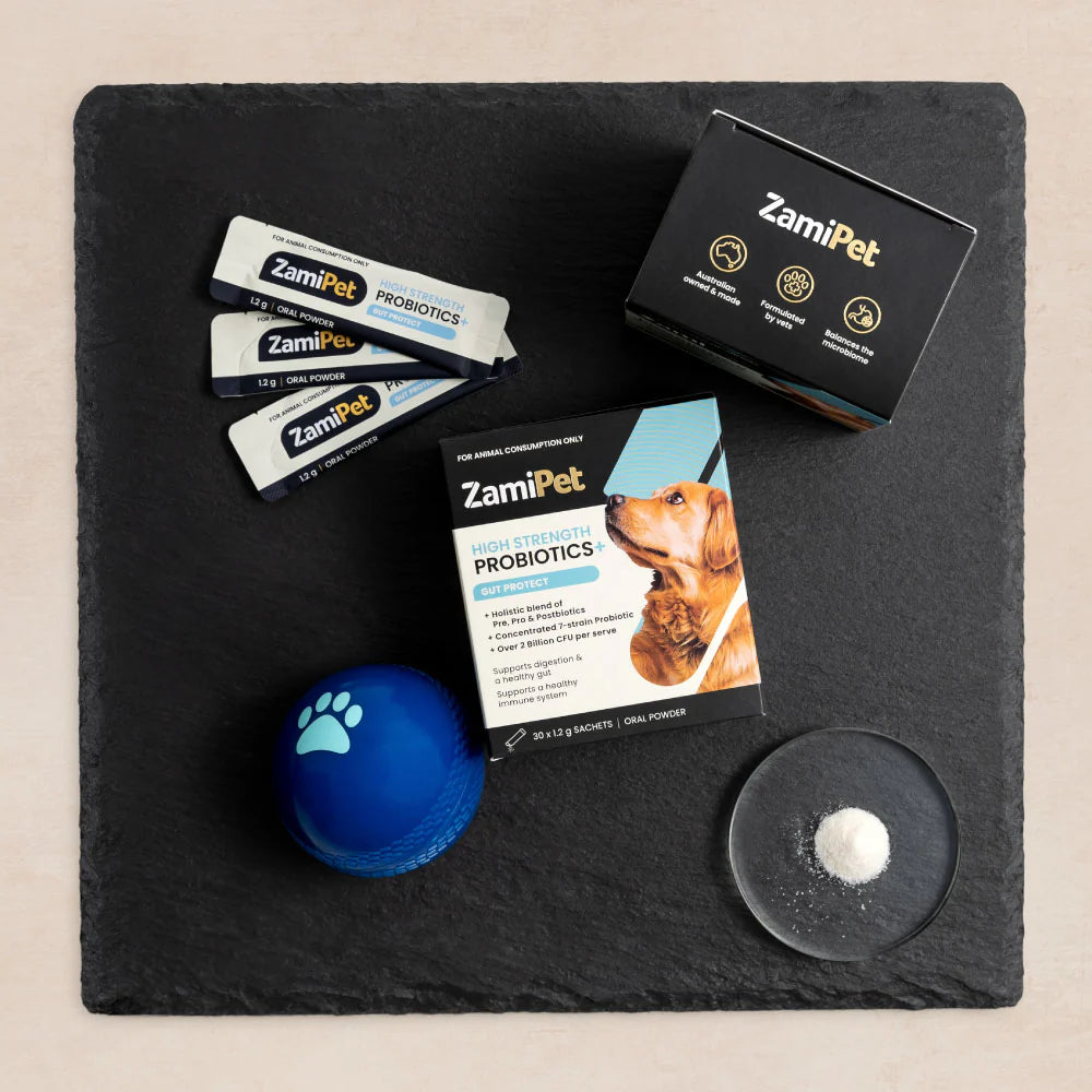 ZamiPet High Strength Probiotics- Gut Protect