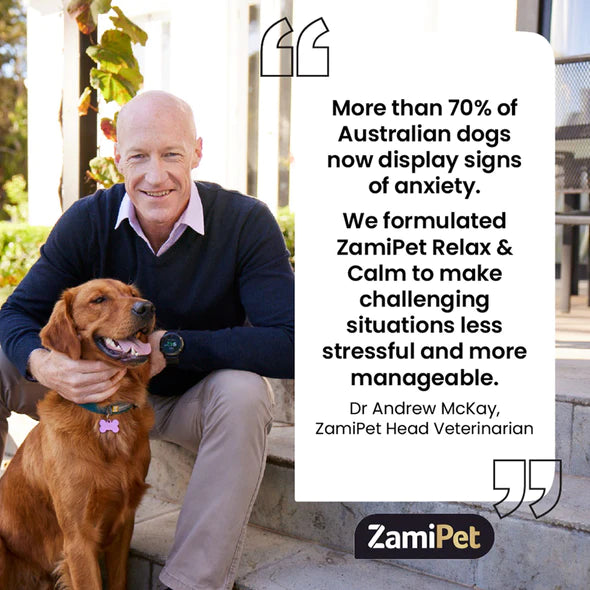 ZamiPet Relax & Calm Dog Supplement