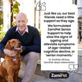 Load image into Gallery viewer, ZamiPet Senior Support Dog Supplement
