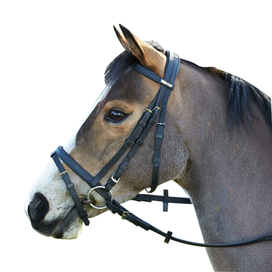 Wintec Bridle with Hanoverian Noseband (Flash)