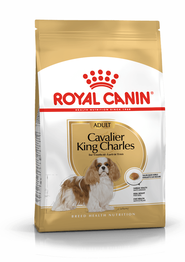 Royal Canin Cavalier Adult