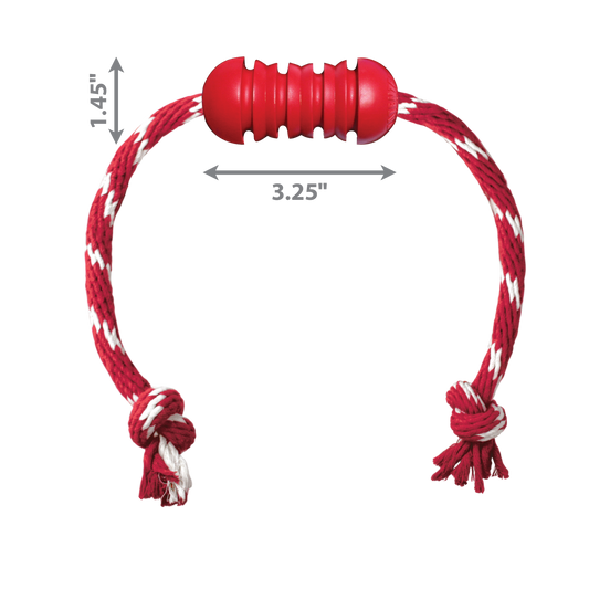 KONG® Dental w/Rope Small