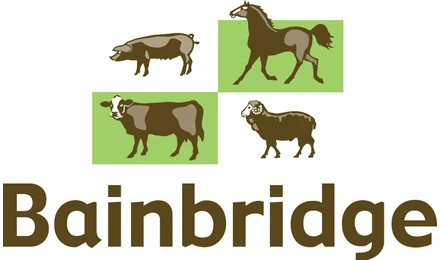 Bainbridge