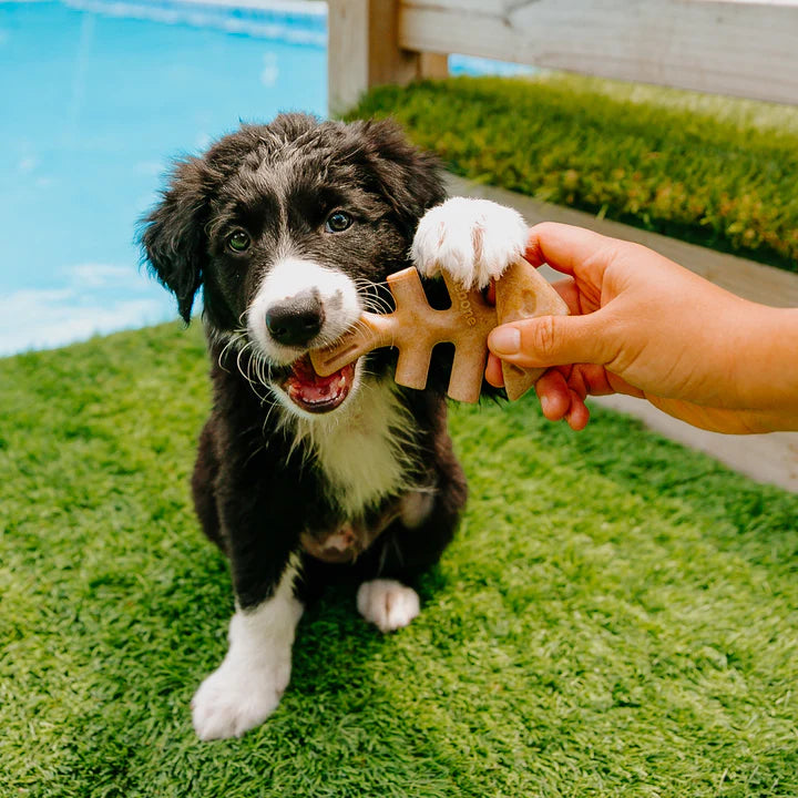 Benebone Puppy 2 Pack Fishbone Tiny