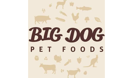 Big Dog