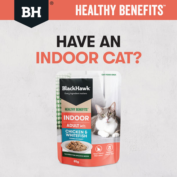 Black Hawk Cat - Healthy Benefits Indoor 85g 12 Pack