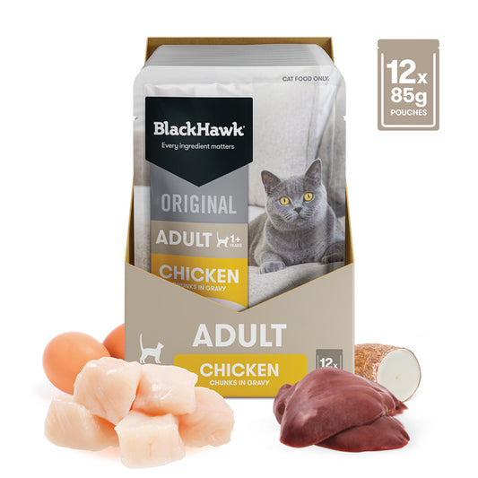 Black Hawk Cat - Chicken in Gravy 85g 12 Pack