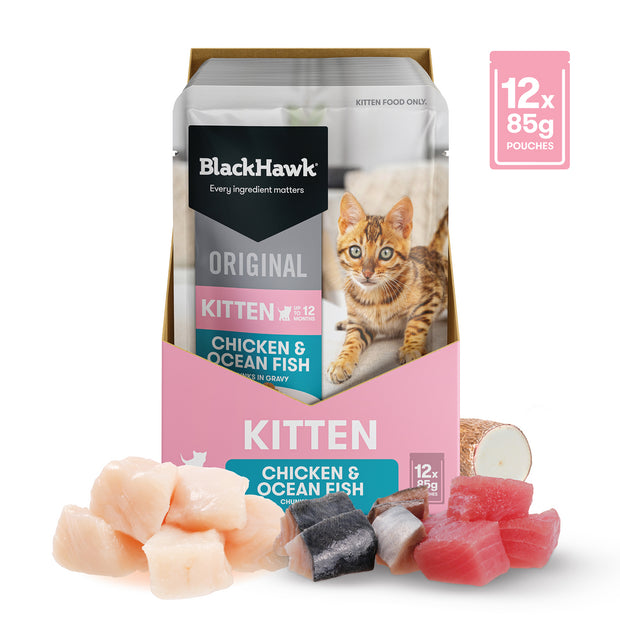 Black Hawk Kitten - Chicken & Ocean Fish 85g 12 Pack