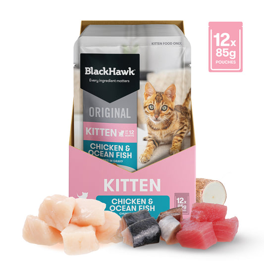 Black Hawk Kitten - Chicken & Ocean Fish 85g 12 Pack