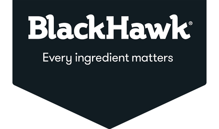 Black Hawk