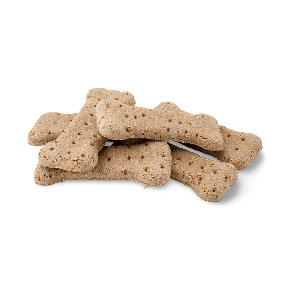 Blackdog Bigga Biscuits