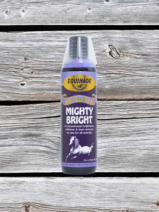 Equinade - Showsilk Mighty Bright