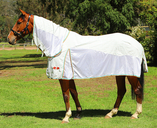 Zilco - Econo Hybrid Combo 5'3"