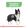 Load image into Gallery viewer, Royal Canin Medium Digestive Care
