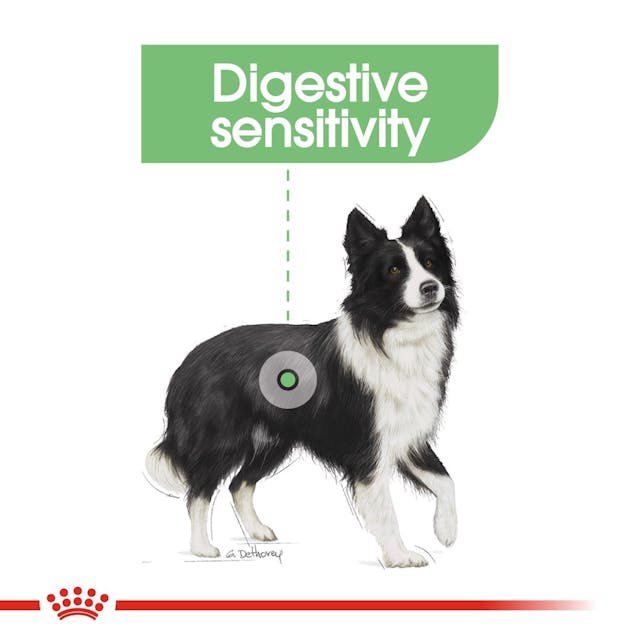 Royal Canin Medium Digestive Care