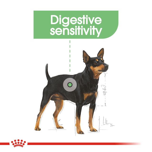 Royal Canin Mini Digestive Care