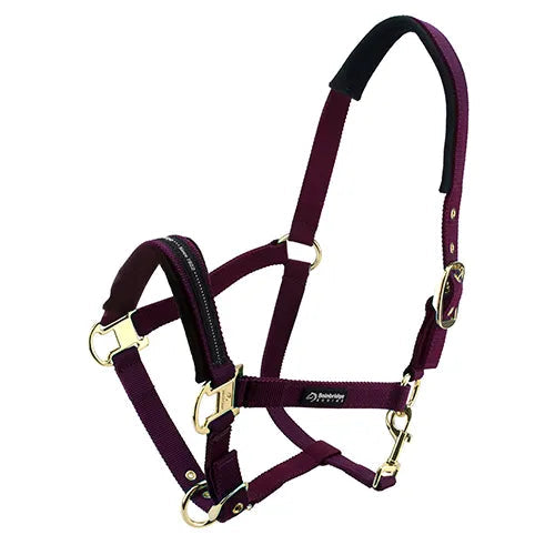 Bainbridge Horse Halter Purple / Cob
