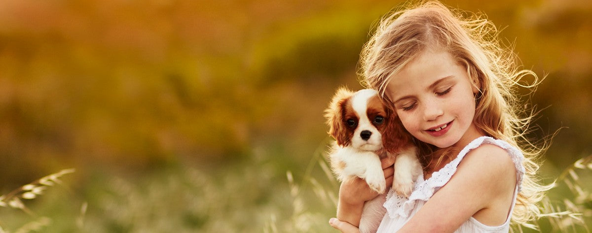 A child holding a cavalier king charles spaniel puppy in long grass