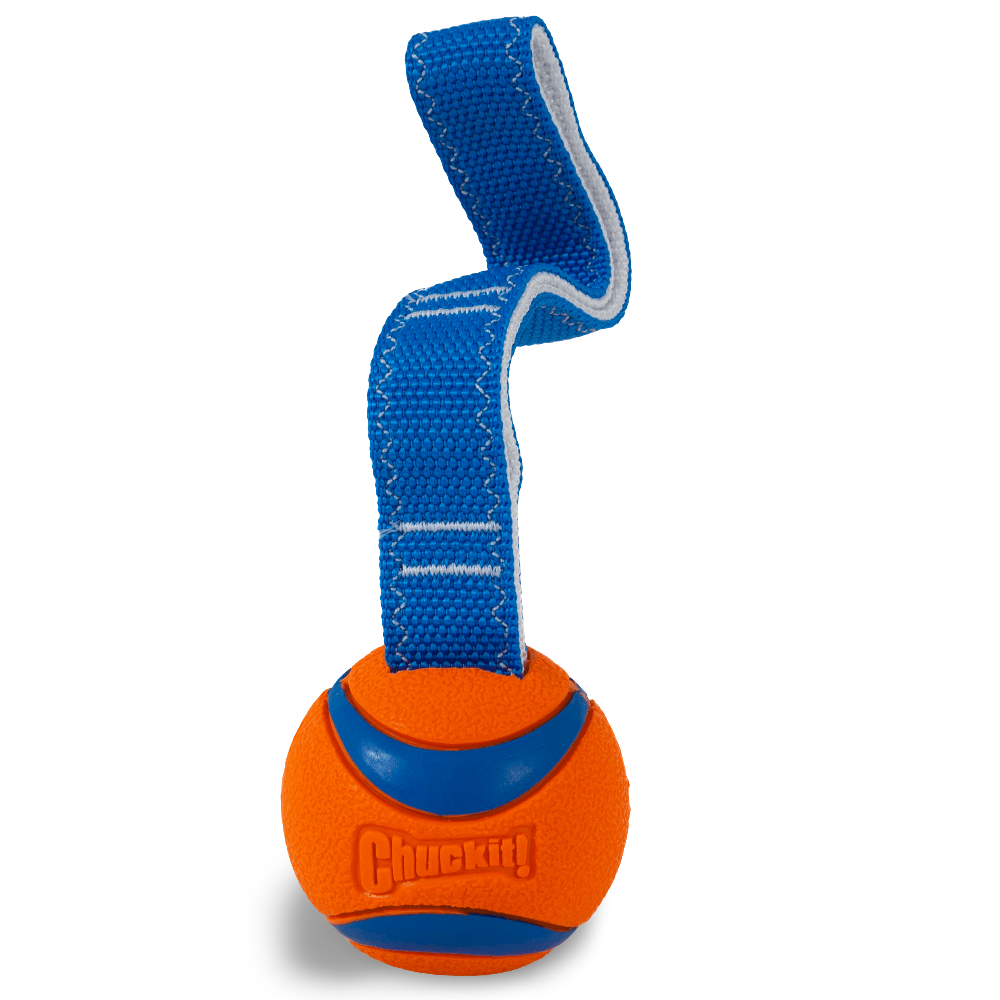ChuckIt Ultra Tug