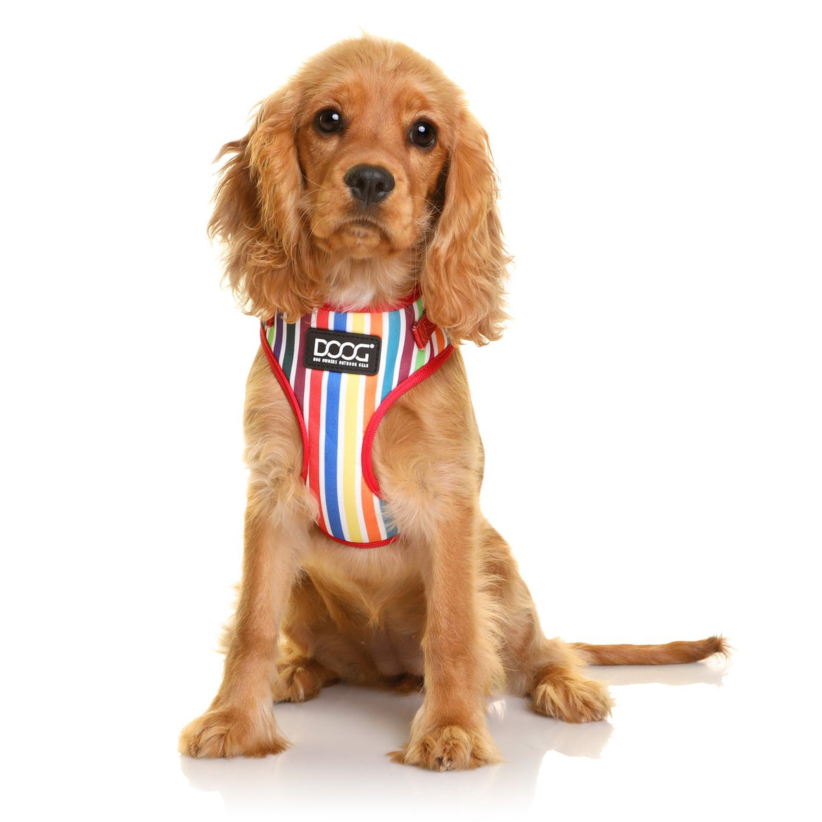 doog-neoflex-dog-harness-scooby - gallery_0