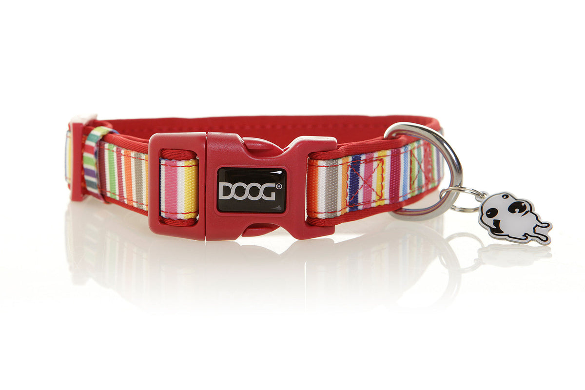 doog-neoprene-dog-collar-scooby - gallery_0