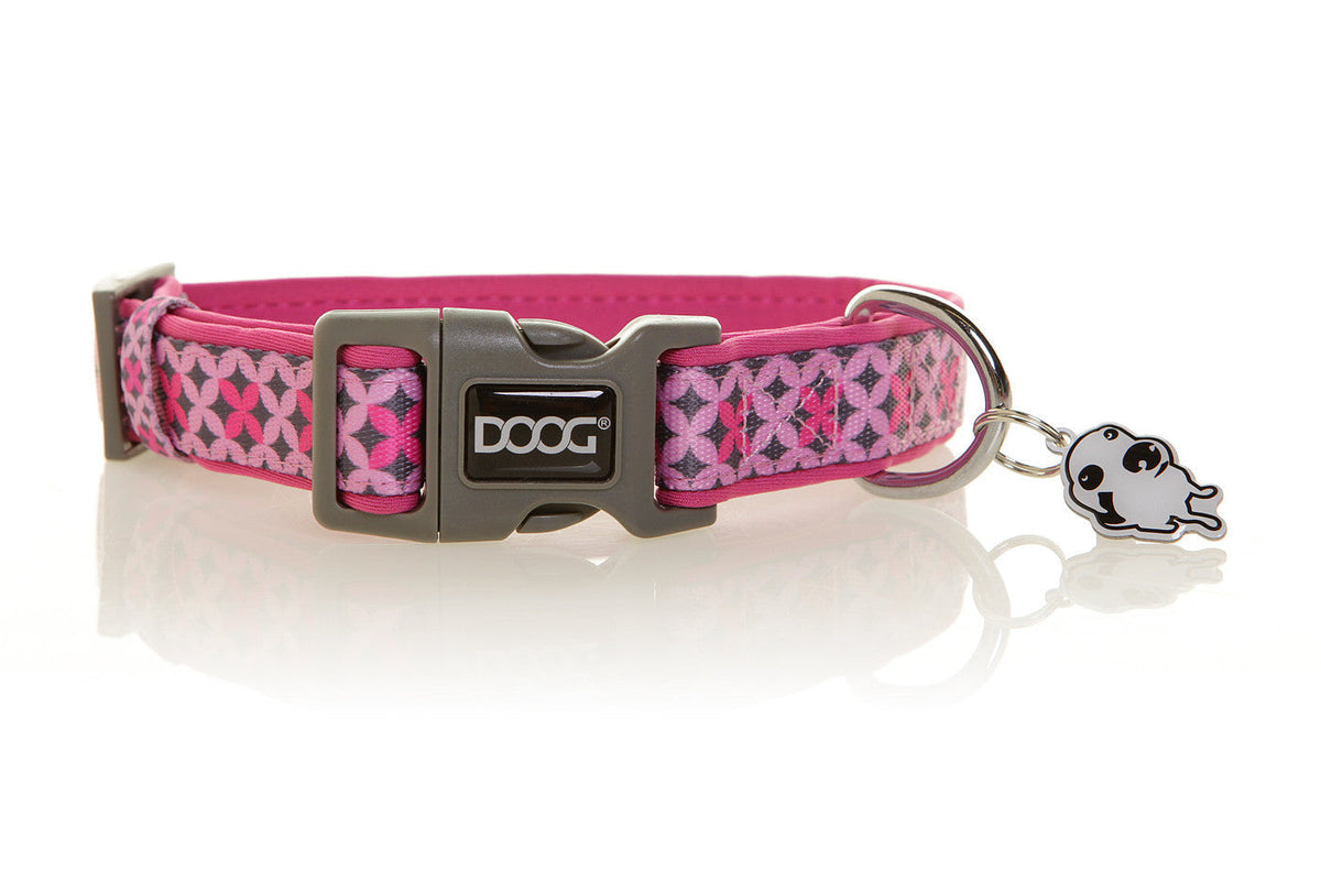doog-neoprene-dog-collar-toto - gallery_0