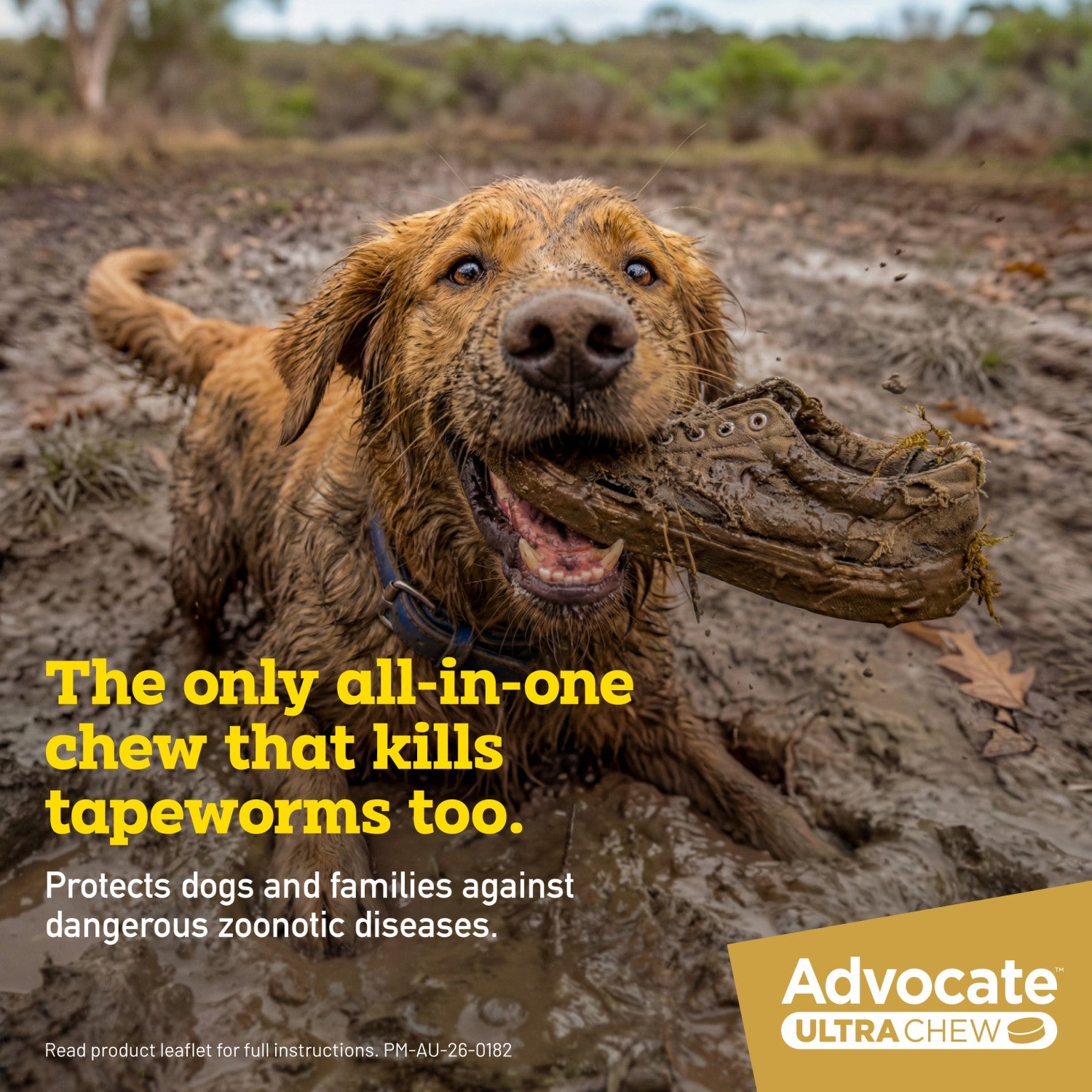 advocate-ultra-chew-large-breed-11-1-22kg-dog-flea-tick-worming - gallery_4