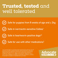Load image into Gallery viewer, advocate-ultra-chew-small-breed-2-9-5-5kg-dog-flea-tick-worming - gallery_5
